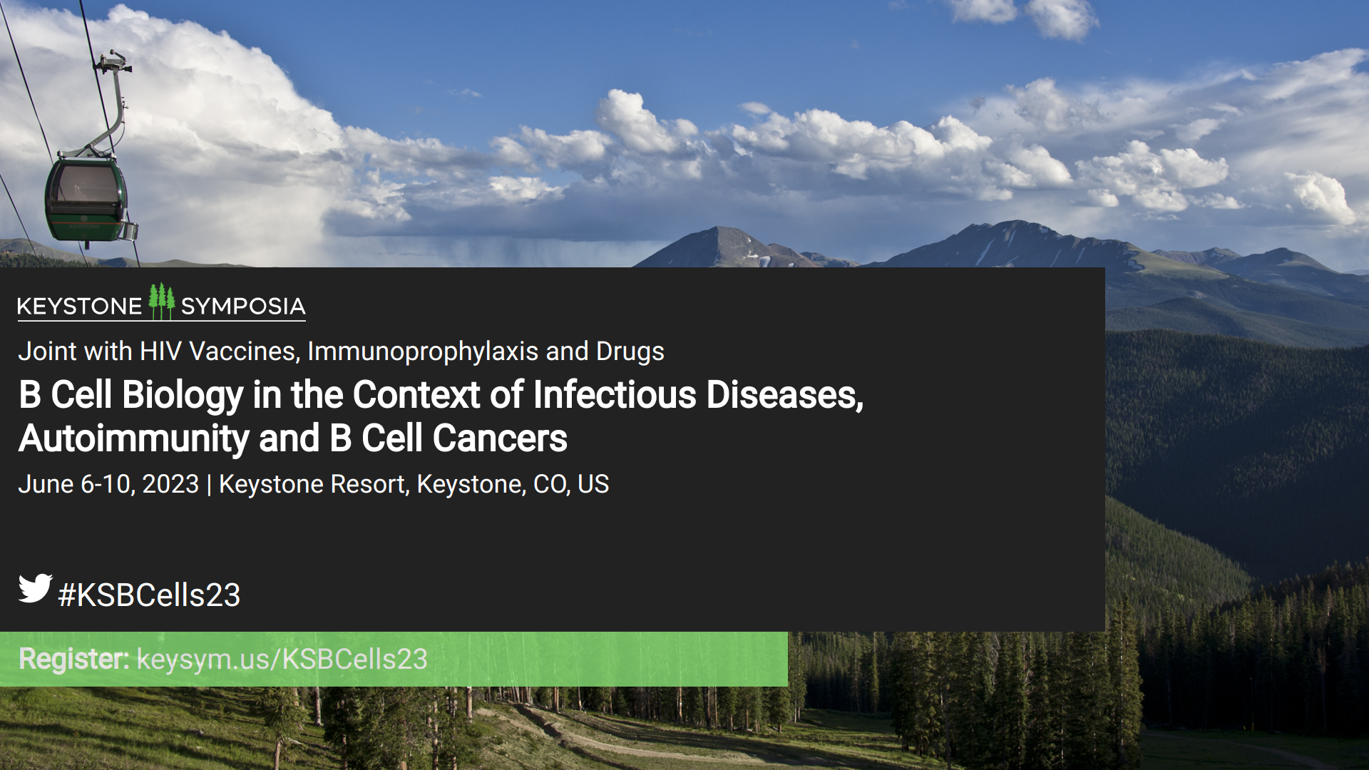 B Cell Biology in the Context of Infectious Diseases, Autoimmunity and B Cell Cancers | Keystone Symposia | Digital Toolkit B Cell Biology in the Context of Infectious Diseases, Autoimmunity and B Cell Cancers | Keystone Symposia | Digital Toolkit